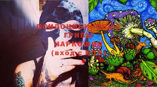 PSILOCYBIN Белоозёрский